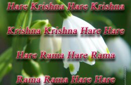 Hare Krishna Maha Mantra in Portuguese 012