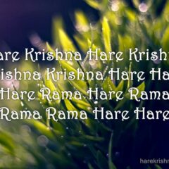 Hare Krishna Maha Mantra 038