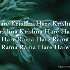 Hare Krishna Maha Mantra 039