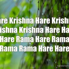 Hare Krishna Maha Mantra 040