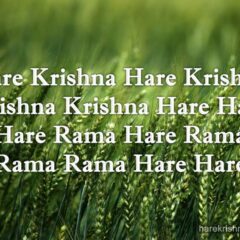 Hare Krishna Maha Mantra 041