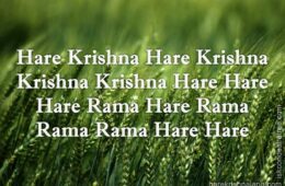 Hare Krishna Maha Mantra 041