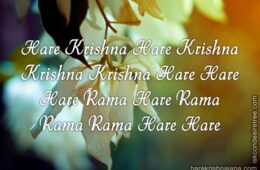 Hare Krishna Maha Mantra 044