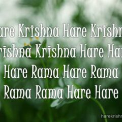 Hare Krishna Maha Mantra 045