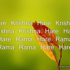 Hare Krishna Maha Mantra 046