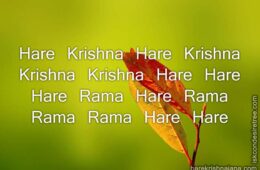 Hare Krishna Maha Mantra 046