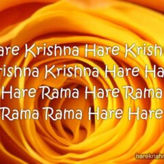 Hare Krishna Maha Mantra 047