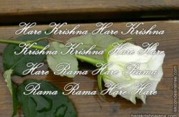 Hare Krishna Maha Mantra 048