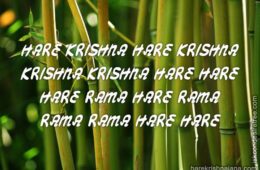 Hare Krishna Maha Mantra 056