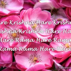 Hare Krishna Maha Mantra in Portuguese 017