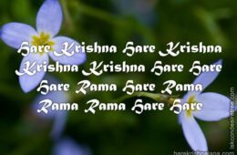 Hare Krishna Maha Mantra in Portuguese 022
