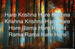 Hare Krishna Maha Mantra in Portuguese 020