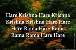 Hare Krishna Maha Mantra 071
