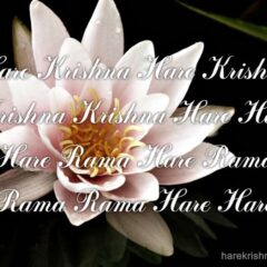 Hare Krishna Maha Mantra 083