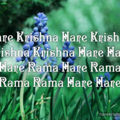 Hare Krishna Maha Mantra in Portuguese 030