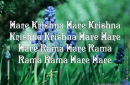 Hare Krishna Maha Mantra in Portuguese 030