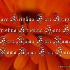 Hare Krishna Maha Mantra in Portuguese 029