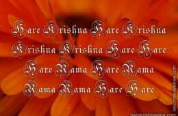 Hare Krishna Maha Mantra in Portuguese 029