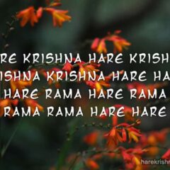 Hare Krishna Maha Mantra 097