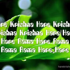 Hare Krishna Maha Mantra 098
