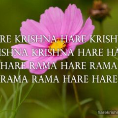 Hare Krishna Maha Mantra in Portuguese 028