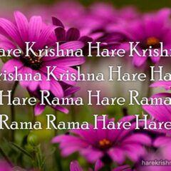 Hare Krishna Maha Mantra 102