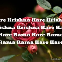 Hare Krishna Maha Mantra in French 014