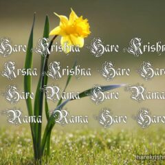 Hare Krishna Maha Mantra in French 013