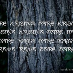 Hare Krishna Maha Mantra 124