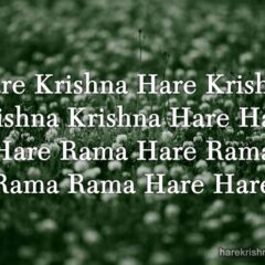 Hare Krishna Maha Mantra 127