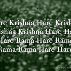 Hare Krishna Maha Mantra in French 009