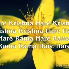 Hare Krishna Maha Mantra 129