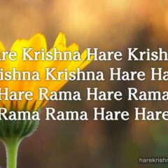 Hare Krishna Maha Mantra 130