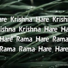 Hare Krishna Maha Mantra 140