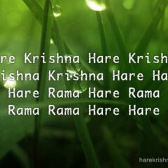 Hare Krishna Maha Mantra 141
