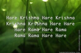 Hare Krishna Maha Mantra 141