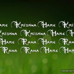 Hare Krishna Maha Mantra 142