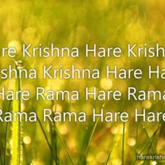 Hare Krishna Maha Mantra 147