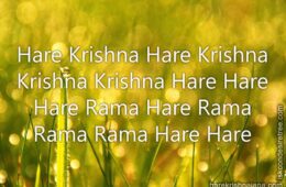 Hare Krishna Maha Mantra 147