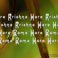Hare Krishna Maha Mantra 148