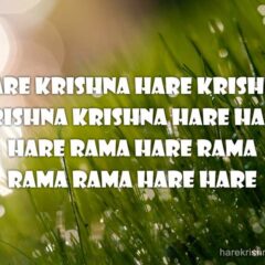 Hare Krishna Maha Mantra 149
