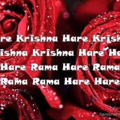 Hare Krishna Maha Mantra 150