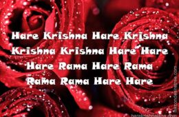 Hare Krishna Maha Mantra 150