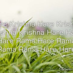 Hare Krishna Maha Mantra in French 028