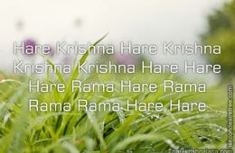 Hare Krishna Maha Mantra in French 028