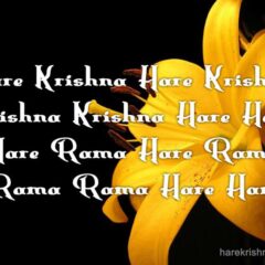 Hare Krishna Maha Mantra 159