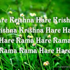 Hare Krishna Maha Mantra 164