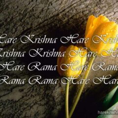 Hare Krishna Maha Mantra 166