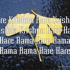 Hare Krishna Maha Mantra 167
