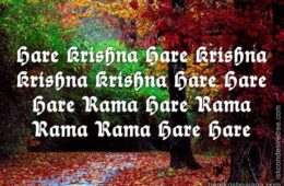 Hare Krishna Maha Mantra in French 029